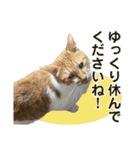 たまちゃんとレンちゃん（個別スタンプ：6）