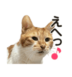 たまちゃんとレンちゃん（個別スタンプ：7）