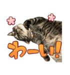 たまちゃんとレンちゃん（個別スタンプ：9）