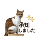 たまちゃんとレンちゃん（個別スタンプ：10）