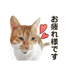 たまちゃんとレンちゃん（個別スタンプ：14）
