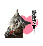 たまちゃんとレンちゃん（個別スタンプ：18）