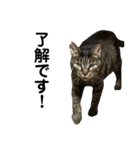 たまちゃんとレンちゃん（個別スタンプ：20）