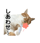 たまちゃんとレンちゃん（個別スタンプ：21）