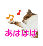 たまちゃんとレンちゃん（個別スタンプ：22）