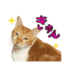 たまちゃんとレンちゃん（個別スタンプ：23）