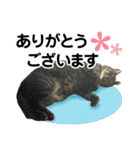 たまちゃんとレンちゃん（個別スタンプ：28）
