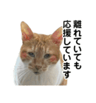 たまちゃんとレンちゃん（個別スタンプ：32）