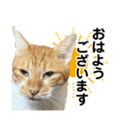 たまちゃんとレンちゃん（個別スタンプ：33）