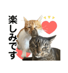たまちゃんとレンちゃん（個別スタンプ：39）