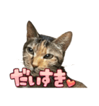 たまちゃんとレンちゃん（個別スタンプ：40）
