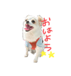 あたちちくわ！！（個別スタンプ：3）