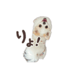 あたちちくわ！！（個別スタンプ：5）