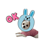 あたちちくわ！！（個別スタンプ：8）