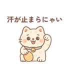 夏 汗かきにゃんこ（個別スタンプ：5）