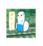 リトくんのインコ 6（個別スタンプ：7）