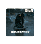 Z世代スケボー少年（個別スタンプ：9）