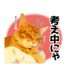 個性豊かな8猫家族 vol.2（個別スタンプ：10）