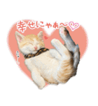 個性豊かな8猫家族 vol.2（個別スタンプ：38）