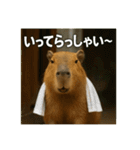 ほわほわなカピバラ（個別スタンプ：1）