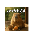 ほわほわなカピバラ（個別スタンプ：2）