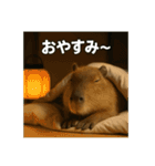 ほわほわなカピバラ（個別スタンプ：5）