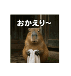 ほわほわなカピバラ（個別スタンプ：8）