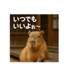 ほわほわなカピバラ（個別スタンプ：13）