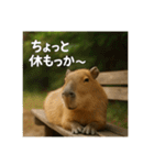 ほわほわなカピバラ（個別スタンプ：15）