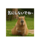 ほわほわなカピバラ（個別スタンプ：20）
