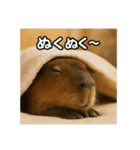 ほわほわなカピバラ（個別スタンプ：21）
