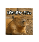 ほわほわなカピバラ（個別スタンプ：22）