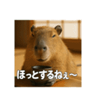 ほわほわなカピバラ（個別スタンプ：24）