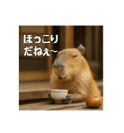 ほわほわなカピバラ（個別スタンプ：30）