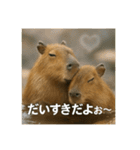 ほわほわなカピバラ（個別スタンプ：32）