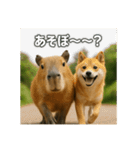 ほわほわなカピバラ（個別スタンプ：36）