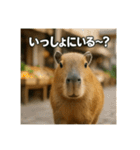 ほわほわなカピバラ（個別スタンプ：39）