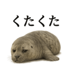 仕事終わりひとこと集〜アザラシ（個別スタンプ：3）