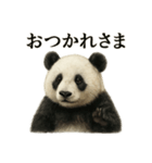 仕事終わりの一言〜リアルすぎるパンダ（個別スタンプ：3）