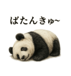 仕事終わりの一言〜リアルすぎるパンダ（個別スタンプ：4）