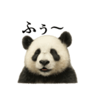 仕事終わりの一言〜リアルすぎるパンダ（個別スタンプ：9）
