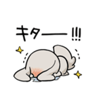 グレーのロップイヤーさん【推し活1】（個別スタンプ：30）