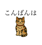 レトロ民芸風ねこ（個別スタンプ：6）