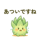 ハオルチア 夏（個別スタンプ：1）