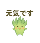 ハオルチア 夏（個別スタンプ：4）