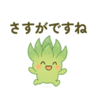 ハオルチア 夏（個別スタンプ：11）
