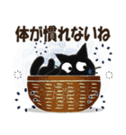 黒ねこの春・夏便り（個別スタンプ：13）