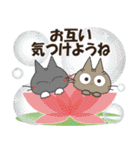 黒ねこの春・夏便り（個別スタンプ：16）