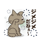 黒ねこの春・夏便り（個別スタンプ：23）
