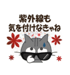 黒ねこの春・夏便り（個別スタンプ：28）
